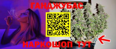 амф Обь